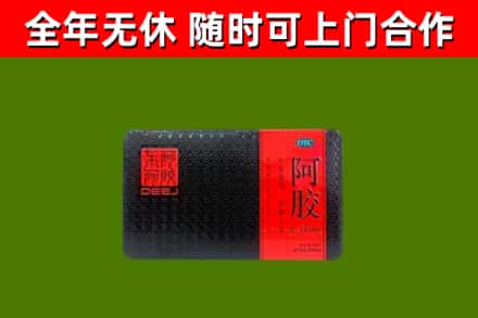 港口区回收阿胶