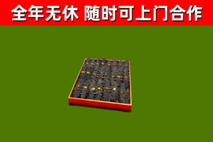 港口区回收海参